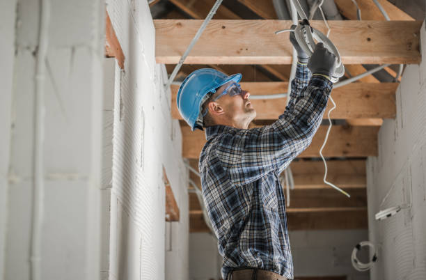 Best Generator Installation Services  in Tuscola, IL